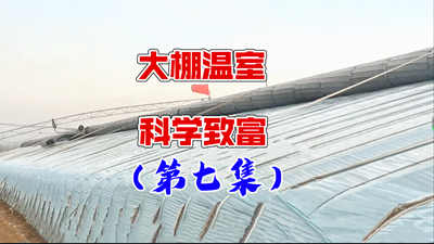 青島風全溫室配套有限公司